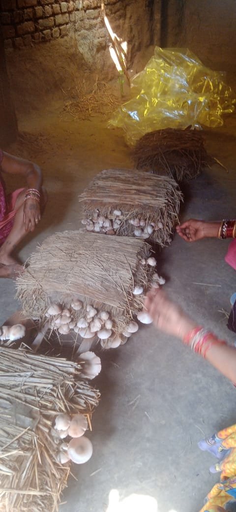 ENTREPRENERSHIP AND SKILLS DEVELOPMENT PROGRAMM 