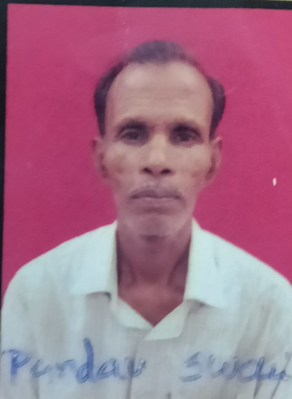 Pandav Swain
